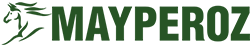 https://www.mayperoz.com/wp-content/uploads/2020/08/logo11-2.png